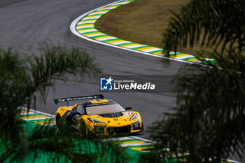 2024-07-13 - 81 EASTWOOD Charlie (irl), ANDRADE Rui (ang), VAN ROMPUY Tom (bel), TF Sport, Corvette Z06 GT3.R #81, LM GT3, action during the 2024 Rolex 6 Hours of Sao Paulo, 5th round of the 2024 FIA World Endurance Championship, from July 12 to 14, 2024 on the Autódromo José Carlos Pace in Interlagos, Brazil - FIA WEC - 6 HOURS OF SAO PAULO 2024 - ENDURANCE - MOTORS