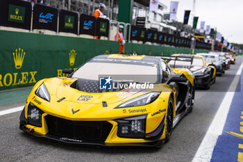 2024-07-13 - 81 EASTWOOD Charlie (irl), ANDRADE Rui (ang), VAN ROMPUY Tom (bel), TF Sport, Corvette Z06 GT3.R #81, LM GT3, ambiance during the 2024 Rolex 6 Hours of Sao Paulo, 5th round of the 2024 FIA World Endurance Championship, from July 12 to 14, 2024 on the Autódromo José Carlos Pace in Interlago, Brazil - FIA WEC - 6 HOURS OF SAO PAULO 2024 - ENDURANCE - MOTORS