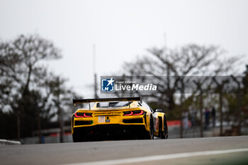 2024-07-13 - 81 EASTWOOD Charlie (irl), ANDRADE Rui (ang), VAN ROMPUY Tom (bel), TF Sport, Corvette Z06 GT3.R #81, action during the 2024 Rolex 6 Hours of Sao Paulo, 5th round of the 2024 FIA World Endurance Championship, from July 11 to 14, 2024 on the Autódromo José Carlos Pace in Interlagos, Brazil - FIA WEC - 6 HOURS OF SAO PAULO 2024 - ENDURANCE - MOTORS