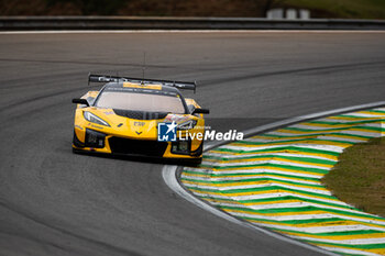 2024-07-13 - 81 EASTWOOD Charlie (irl), ANDRADE Rui (ang), VAN ROMPUY Tom (bel), TF Sport, Corvette Z06 GT3.R #81, LM GT3, action during the 2024 Rolex 6 Hours of Sao Paulo, 5th round of the 2024 FIA World Endurance Championship, from July 12 to 14, 2024 on the Autódromo José Carlos Pace in Interlagos, Brazil - FIA WEC - 6 HOURS OF SAO PAULO 2024 - ENDURANCE - MOTORS