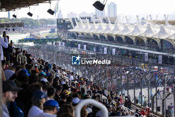 2024-07-14 - Fans during the 2024 Rolex 6 Hours of Sao Paulo, 5th round of the 2024 FIA World Endurance Championship, from July 12 to 14, 2024 on the Autódromo José Carlos Pace in Interlagos, Brazil - FIA WEC - 6 HOURS OF SAO PAULO 2024 - ENDURANCE - MOTORS