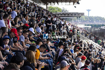 2024-07-14 - Fans during the 2024 Rolex 6 Hours of Sao Paulo, 5th round of the 2024 FIA World Endurance Championship, from July 12 to 14, 2024 on the Autódromo José Carlos Pace in Interlagos, Brazil - FIA WEC - 6 HOURS OF SAO PAULO 2024 - ENDURANCE - MOTORS