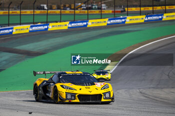 2024-07-14 - 81 EASTWOOD Charlie (irl), ANDRADE Rui (ang), VAN ROMPUY Tom (bel), TF Sport, Corvette Z06 GT3.R #81, LM GT3, action during the 2024 Rolex 6 Hours of Sao Paulo, 5th round of the 2024 FIA World Endurance Championship, from July 12 to 14, 2024 on the Autódromo José Carlos Pace in Interlagos, Brazil - FIA WEC - 6 HOURS OF SAO PAULO 2024 - ENDURANCE - MOTORS