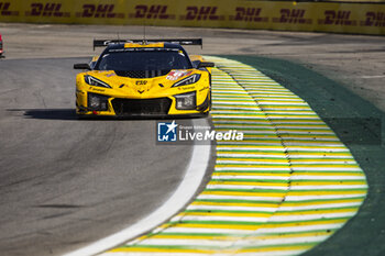 2024-07-14 - 81 EASTWOOD Charlie (irl), ANDRADE Rui (ang), VAN ROMPUY Tom (bel), TF Sport, Corvette Z06 GT3.R #81, LM GT3, action during the 2024 Rolex 6 Hours of Sao Paulo, 5th round of the 2024 FIA World Endurance Championship, from July 12 to 14, 2024 on the Autódromo José Carlos Pace in Interlagos, Brazil - FIA WEC - 6 HOURS OF SAO PAULO 2024 - ENDURANCE - MOTORS