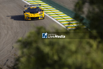 2024-07-14 - 81 EASTWOOD Charlie (irl), ANDRADE Rui (ang), VAN ROMPUY Tom (bel), TF Sport, Corvette Z06 GT3.R #81, LM GT3, action during the 2024 Rolex 6 Hours of Sao Paulo, 5th round of the 2024 FIA World Endurance Championship, from July 12 to 14, 2024 on the Autódromo José Carlos Pace in Interlagos, Brazil - FIA WEC - 6 HOURS OF SAO PAULO 2024 - ENDURANCE - MOTORS