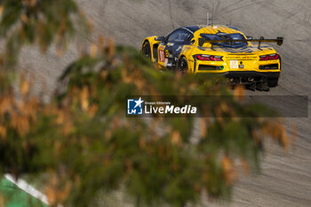 2024-07-14 - 81 EASTWOOD Charlie (irl), ANDRADE Rui (ang), VAN ROMPUY Tom (bel), TF Sport, Corvette Z06 GT3.R #81, LM GT3, action during the 2024 Rolex 6 Hours of Sao Paulo, 5th round of the 2024 FIA World Endurance Championship, from July 12 to 14, 2024 on the Autódromo José Carlos Pace in Interlagos, Brazil - FIA WEC - 6 HOURS OF SAO PAULO 2024 - ENDURANCE - MOTORS