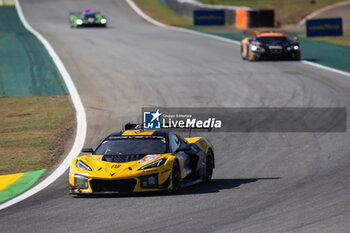 2024-07-14 - 81 EASTWOOD Charlie (irl), ANDRADE Rui (ang), VAN ROMPUY Tom (bel), TF Sport, Corvette Z06 GT3.R #81, LM GT3, action during the 2024 Rolex 6 Hours of Sao Paulo, 5th round of the 2024 FIA World Endurance Championship, from July 11 to 14, 2024 on the Autódromo José Carlos Pace in Interlagos, Brazil - FIA WEC - 6 HOURS OF SAO PAULO 2024 - ENDURANCE - MOTORS