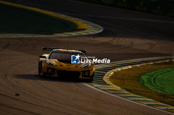 2024-07-14 - 81 EASTWOOD Charlie (irl), ANDRADE Rui (ang), VAN ROMPUY Tom (bel), TF Sport, Corvette Z06 GT3.R #81, LM GT3, action during the 2024 Rolex 6 Hours of Sao Paulo, 5th round of the 2024 FIA World Endurance Championship, from July 12 to 14, 2024 on the Autódromo José Carlos Pace in Interlagos, Brazil - FIA WEC - 6 HOURS OF SAO PAULO 2024 - ENDURANCE - MOTORS