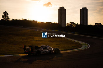 2024-07-14 - 38 RASMUSSEN Oliver (dnk), HANSON Philip (gbr), BUTTON Jenson (gbr), Hertz Team Jota, Porsche 963 #38, Hypercar, action during the 2024 Rolex 6 Hours of Sao Paulo, 5th round of the 2024 FIA World Endurance Championship, from July 12 to 14, 2024 on the Autódromo José Carlos Pace in Interlagos, Brazil - FIA WEC - 6 HOURS OF SAO PAULO 2024 - ENDURANCE - MOTORS