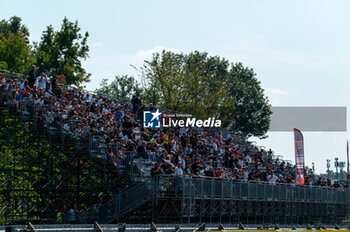 2024-09-21 - Fan at Fanatec GT Word Challenge in Monza - FANATEC GT ENDURANCE CUP - ENDURANCE - MOTORS