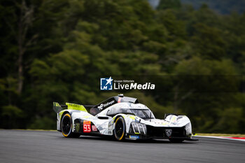 2024-09-13 - 93 JENSEN Mikkel (dnk), MULLER Nico (swi), VERGNE Jean-Eric (fra), Peugeot TotalEnergies, Peugeot 9x8 #93, action during the 2024 6 Hours of Fuji, 7th round of the 2024 FIA World Endurance Championship, from September 13 to 15, 2024 on the Fuji Speedway in Oyama, Shizuoka, Japan - FIA WEC - 6 HOURS OF FUJI 2024 - ENDURANCE - MOTORS