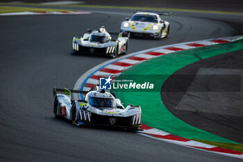 2024-09-13 - 94 DUVAL Loïc (fra), DI RESTA Paul (gbr), VANDOORNE Stoffel (bel), Peugeot TotalEnergies, Peugeot 9x8 #94, Hypercar, action during the 2024 6 Hours of Fuji, 7th round of the 2024 FIA World Endurance Championship, from September 13 to 15, 2024 on the Fuji Speedway in Oyama, Shizuoka, Japan - FIA WEC - 6 HOURS OF FUJI 2024 - ENDURANCE - MOTORS