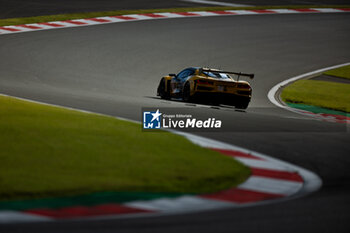 2024-09-13 - 81 EASTWOOD Charlie (irl), ANDRADE Rui (ang), VAN ROMPUY Tom (bel), TF Sport, Corvette Z06 GT3.R #81, LM GT3, action during the 2024 6 Hours of Fuji, 7th round of the 2024 FIA World Endurance Championship, from September 13 to 15, 2024 on the Fuji Speedway in Oyama, Shizuoka, Japan - FIA WEC - 6 HOURS OF FUJI 2024 - ENDURANCE - MOTORS