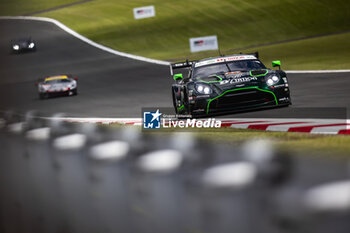 2024-09-14 - 777 SORENSEN Marco (dnk), MATEU Clément (fra), BASTARD Erwan (fra), D'Station Racing, Aston Martin Vantage GT3 #777, LM GT3, circuit safari, illustration during the 2024 6 Hours of Fuji, 7th round of the 2024 FIA World Endurance Championship, from September 13 to 15, 2024 on the Fuji Speedway in Oyama, Shizuoka, Japan - FIA WEC - 6 HOURS OF FUJI 2024 - ENDURANCE - MOTORS