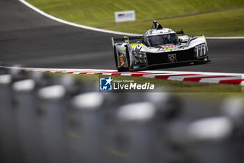 2024-09-14 - 94 DUVAL Loïc (fra), DI RESTA Paul (gbr), VANDOORNE Stoffel (bel), Peugeot TotalEnergies, Peugeot 9x8 #94, Hypercar, circuit safari, illustration during the 2024 6 Hours of Fuji, 7th round of the 2024 FIA World Endurance Championship, from September 13 to 15, 2024 on the Fuji Speedway in Oyama, Shizuoka, Japan - FIA WEC - 6 HOURS OF FUJI 2024 - ENDURANCE - MOTORS