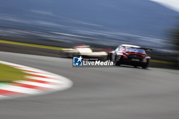 2024-09-14 - 87 LOPEZ José María (arg), KIMURA Takeshi (jpn), MASSON Esteban (fra), Akkodis ASP Team, Lexus RC F GT3 #87, LM GT3, circuit safari, illustration during the 2024 6 Hours of Fuji, 7th round of the 2024 FIA World Endurance Championship, from September 13 to 15, 2024 on the Fuji Speedway in Oyama, Shizuoka, Japan - FIA WEC - 6 HOURS OF FUJI 2024 - ENDURANCE - MOTORS