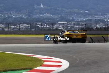 2024-09-14 - 81 EASTWOOD Charlie (irl), ANDRADE Rui (ang), VAN ROMPUY Tom (bel), TF Sport, Corvette Z06 GT3.R #81, LM GT3, circuit safari, illustration during the 2024 6 Hours of Fuji, 7th round of the 2024 FIA World Endurance Championship, from September 13 to 15, 2024 on the Fuji Speedway in Oyama, Shizuoka, Japan - FIA WEC - 6 HOURS OF FUJI 2024 - ENDURANCE - MOTORS