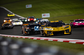 2024-09-15 - 81 EASTWOOD Charlie (irl), ANDRADE Rui (ang), VAN ROMPUY Tom (bel), TF Sport, Corvette Z06 GT3.R #81, LM GT3, action, start of the race, depart, during the 2024 6 Hours of Fuji, 7th round of the 2024 FIA World Endurance Championship, from September 13 to 15, 2024 on the Fuji Speedway in Oyama, Shizuoka, Japan - FIA WEC - 6 HOURS OF FUJI 2024 - ENDURANCE - MOTORS