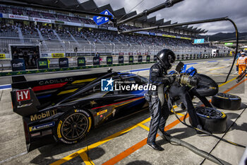 2024-09-15 - 02 BAMBER Earl (nzl), LYNN Alex (gbr), Cadillac Racing #02, Hypercar, ambiance during the 2024 6 Hours of Fuji, 7th round of the 2024 FIA World Endurance Championship, from September 13 to 15, 2024 on the Fuji Speedway in Oyama, Shizuoka, Japan - FIA WEC - 6 HOURS OF FUJI 2024 - ENDURANCE - MOTORS