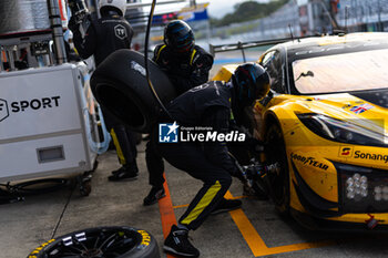 2024-09-15 - 81 EASTWOOD Charlie (irl), ANDRADE Rui (ang), VAN ROMPUY Tom (bel), TF Sport, Corvette Z06 GT3.R #81, LM GT3, action during the 2024 6 Hours of Fuji, 7th round of the 2024 FIA World Endurance Championship, from September 13 to 15, 2024 on the Fuji Speedway in Oyama, Shizuoka, Japan - FIA WEC - 6 HOURS OF FUJI 2024 - ENDURANCE - MOTORS