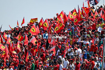 2024-05-19 - Fans in the stands of the Autodromo Internazionale Enzo e Dino Ferrari - FORMULA 1 MSC CRUISES GRAN PREMIO DELL'EMILIA-ROMAGNA 2024 - RACE - FORMULA 1 - MOTORS