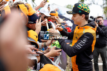 2024-03-23 - PIASTRI Oscar (aus), McLaren F1 Team MCL38, portrait during the Formula 1 Rolex Australian Grand Prix 2024, 3rd round of the 2024 Formula One World Championship from March 22 to 24, 2024 on the Albert Park Circuit, in Melbourne, Australia - F1 - AUSTRALIAN GRAND PRIX 2024 - FORMULA 1 - MOTORS