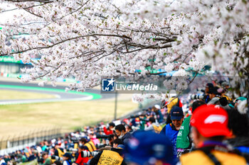 2024-04-06 - foule, crowd, during the Formula 1 MSC Cruises Japanese Grand Prix 2024, 4th round of the 2024 Formula One World Championship from April 5 to 7, 2024 on the Suzuka International Racing Course, in Suzuka, Japan - F1 - JAPANESE GRAND PRIX 2024 - FORMULA 1 - MOTORS
