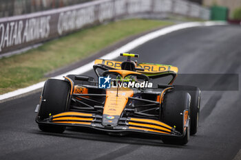 2024-04-19 - 04 NORRIS Lando (gbr), McLaren F1 Team MCL38, action during the Formula 1 Lenovo Chinese Grand Prix 2024, 5th round of the 2024 Formula One World Championship from April 19 to 21, 2024 on the Shanghai International Circuit, in Shanghai, China - F1 - CHINESE GRAND PRIX 2024 - FORMULA 1 - MOTORS