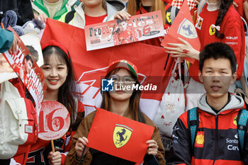 21/04/2024 - spectators, fans, fan club during the Formula 1 Lenovo Chinese Grand Prix 2024, 5th round of the 2024 Formula One World Championship from April 19 to 21, 2024 on the Shanghai International Circuit, in Shanghai, China - F1 - CHINESE GRAND PRIX 2024 - FORMULA 1 - MOTORI