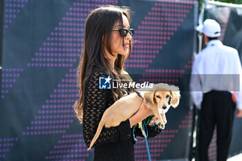 2024-05-18 - Leclerc's girlfriend, Alexandra Saint Mleux and the dog Leo walking in the paddock - FORMULA 1 MSC CRUISES GRAN PREMIO DELL'EMILIA-ROMAGNA 2024 - PADDOCK AND DRIVERS - FORMULA 1 - MOTORS