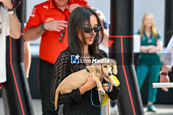 2024-05-18 - Leclerc's girlfriend, Alexandra Saint Mleux and the dog Leo walking in the paddock - FORMULA 1 MSC CRUISES GRAN PREMIO DELL'EMILIA-ROMAGNA 2024 - PADDOCK AND DRIVERS - FORMULA 1 - MOTORS