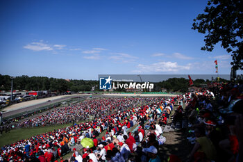 2024-05-18 - spectators, fans during the Formula 1 MSC Cruises Gran Premio del Made in Italy e Dell’Emilia-Romagne 2024, 7th round of the 2024 Formula One World Championship from May 17 to 19, 2024 on the Autodromo Enzo e Dino Ferrari, in Imola, Italy - F1 - EMILIA-ROMAGNA GRAND PRIX 2024 - FORMULA 1 - MOTORS