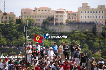 2024-05-26 - Ferrari fan during the Formula 1 Grand Prix de Monaco 2024, 8th round of the 2024 Formula One World Championship from May 23 to 26, 2024 on the Circuit de Monaco, in Monaco - F1 - MONACO GRAND PRIX 2024 - FORMULA 1 - MOTORS