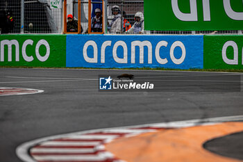 2024-06-07 - marmot crossing the track on last corner
during Formula 1 Aws Grand Prix du Canada 2024, Montreal, Quebec, Canada, from Jun 6th to 9th - Round 9 of 24 of 2024 F1 World Championship - FORMULA 1 AWS GRAND PRIX DU CANADA 2024 - FORMULA 1 - MOTORS