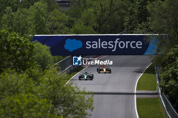 2024-06-08 - 14 ALONSO Fernando (spa), Aston Martin F1 Team AMR24, action and 04 NORRIS Lando (gbr), McLaren F1 Team MCL38, action during the Formula 1 AWS Grand Prix du Canada 2024, 9th round of the 2024 Formula One World Championship from June 07 to 09, 2024 on the Circuit Gilles Villeneuve, in Montréal, Canada - F1 - CANADIAN GRAND PRIX 2024 - FORMULA 1 - MOTORS