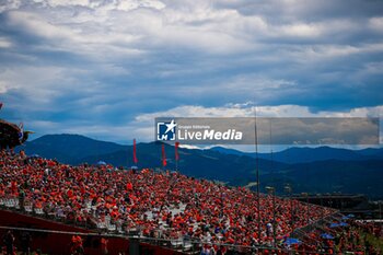 2024-06-28 - Public/Tifosi/Fan/Grandstand during the Austrian GP, Spielberg 27-30 June 2024, Formula 1 World championship 2024. - FORMULA 1 QATAR AIRWAYS AUSTRIAN GRAND PRIX 2024 - PRESS CONFERENCE - FORMULA 1 - MOTORS