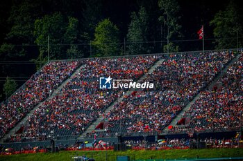 2024-06-28 - Public/Tifosi/Fan/Grandstand during the Austrian GP, Spielberg 27-30 June 2024, Formula 1 World championship 2024. - FORMULA 1 QATAR AIRWAYS AUSTRIAN GRAND PRIX 2024 - PRESS CONFERENCE - FORMULA 1 - MOTORS