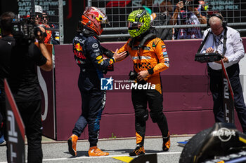 2024-06-29 - NORRIS Lando (gbr), McLaren F1 Team MCL38, portrait VERSTAPPEN Max (ned), Red Bull Racing RB20, portrait during the Formula 1 Qatar Airways Austrian Grand Prix 2024, 11th round of the 2024 Formula One World Championship from June 28 to 30, 2024 on the Red Bull Ring, in Spielberg, Austria - F1 - AUSTRIAN GRAND PRIX 2024 - FORMULA 1 - MOTORS