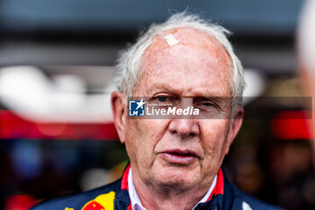 2024-07-06 - Helmut Marko (AUT Oracle Red Bull Racing consultant during Free Practice 3 on day 3, saturday july 6, 2024 of the formula 1 qatar airways british grand prix 2024, scheduled to take place at the silverstone circuit from july 5 to july 7, 2024 - FORMULA 1 - QATAR AIRWAYS BRITISHGRAND PRIX 2024 - PRACTICE AND QUALIFY - FORMULA 1 - MOTORS