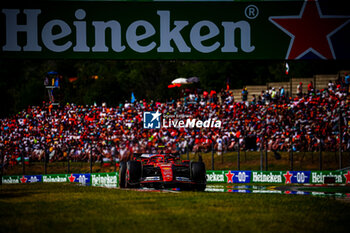 2024-07-21 - 55 Carlos Sainz, (ESP) Scuderia Ferrari during the Hungarian GP, Budapest 18-21 July 2024 Formula 1 World championship 2024. - FORMULA 1 HUNGARIAN GRAND PRIX 2024 - RACE - FORMULA 1 - MOTORS