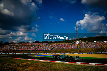 2024-07-21 - 14 Fernando Alonso, (ESP) Aramco Aston Martin Mercedes during the Hungarian GP, Budapest 18-21 July 2024 Formula 1 World championship 2024. - FORMULA 1 HUNGARIAN GRAND PRIX 2024 - RACE - FORMULA 1 - MOTORS