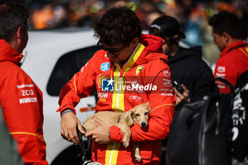 2024-07-07 - LECLERC Charles (mco), Scuderia Ferrari SF-24, portrait and his dog Leo during the Formula 1 Qatar Airways British Grand Prix 2024, 12th round of the 2024 Formula One World Championship from July 5 to 7, 2024 on the Silverstone Circuit, in Silverstone, United Kingdom - F1 - BRITISH GRAND PRIX 2024 - FORMULA 1 - MOTORS