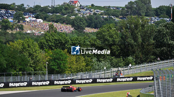 2024-07-21 - #55 Carlos Sainz Of The Team Scuderia Ferrari HP, Ferrari SF-24,Face The Race ,During Fia Formula One World Championship F1 Hungarian Grand Prix 2024, 20 July In Budapest, Hungarian - FORMULA 1 HUNGARIAN GRAND PRIX 2024 - RACE - FORMULA 1 - MOTORS