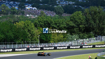 2024-07-21 - #81 Oscar Piastri Of The Team Mclaren Formula 1 Team, Mclaren Mercedes MCL38,Face The Race ,During Fia Formula One World Championship F1 Hungarian Grand Prix 2024, 20 July In Budapest, Hungarian - FORMULA 1 HUNGARIAN GRAND PRIX 2024 - RACE - FORMULA 1 - MOTORS