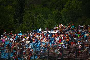 2024-07-19 - Public/Tifosi/Fan/Grandstand, during the Hungarian GP, Budapest 18-21 July 2024 Formula 1 World championship 2024. - FORMULA 1 HUNGARIAN GRAND PRIX 2024 - PRACTICE 1 AND PRACTICE 2 - FORMULA 1 - MOTORS