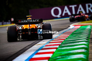 2024-07-19 - 04 Lando Norris, (GRB) McLaren Mercedes during the Hungarian GP, Budapest 18-21 July 2024 Formula 1 World championship 2024. - FORMULA 1 HUNGARIAN GRAND PRIX 2024 - PRACTICE 1 AND PRACTICE 2 - FORMULA 1 - MOTORS