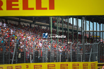 2024-07-20 - Public/Tifosi/Fan/Grandstand, during the Hungarian GP, Budapest 18-21 July 2024 Formula 1 World championship 2024. - FORMULA 1 HUNGARIAN GRAND PRIX 2024 - PRACTICE 3 AND QUALIFYING - FORMULA 1 - MOTORS