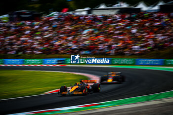 2024-07-20 - 81 Oscar Piastri, (AUS) McLaren Mercedes during the Hungarian GP, Budapest 18-21 July 2024 Formula 1 World championship 2024. - FORMULA 1 HUNGARIAN GRAND PRIX 2024 - PRACTICE 3 AND QUALIFYING - FORMULA 1 - MOTORS