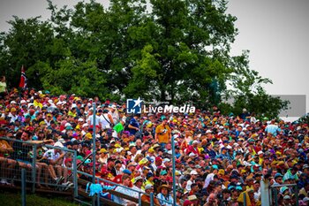 2024-07-20 - Public/Tifosi/Fan/Grandstand, during the Hungarian GP, Budapest 18-21 July 2024 Formula 1 World championship 2024. - FORMULA 1 HUNGARIAN GRAND PRIX 2024 - PRACTICE 3 AND QUALIFYING - FORMULA 1 - MOTORS