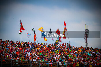 2024-07-20 - Public/Tifosi/Fan/Grandstand, during the Hungarian GP, Budapest 18-21 July 2024 Formula 1 World championship 2024. - FORMULA 1 HUNGARIAN GRAND PRIX 2024 - PRACTICE 3 AND QUALIFYING - FORMULA 1 - MOTORS